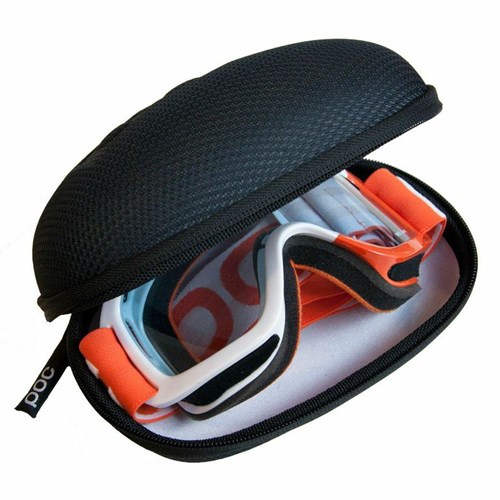 Goggle case
